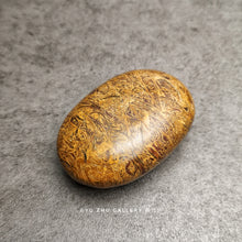 Load image into Gallery viewer, Camel Jasper Palm Stone 60mm*40mm*20mm
